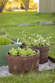 Whiskeytunna Original Ek Ø64 cm Scan-Pot